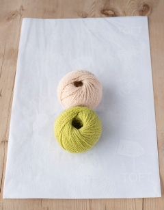 Baby Celeriac Kit