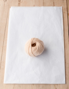 Pumpkin Seed Kit