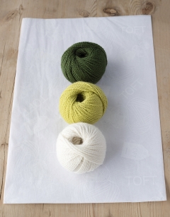 Spring Onion Kit