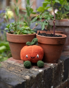 Munchkin Pumpkin Kit