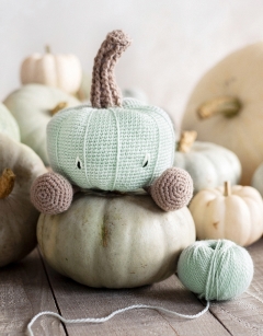 Crown Prince Pumpkin Kit