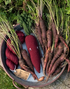 Vegetables: Alexandra's Garden Book by Kerry Lord 