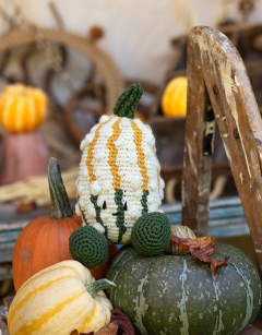 Short Gourd Kit