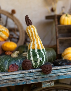 Striped Pear Gourd Kit