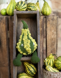 Striped Warty Gourd Kit