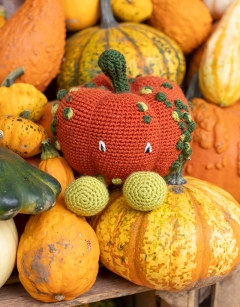 Zombie Pumpkin Kit
