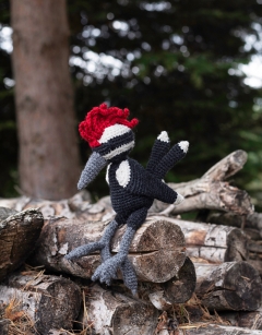 Scott the Woodpecker