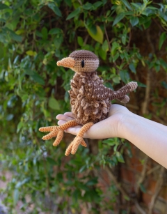Jenny the Wren