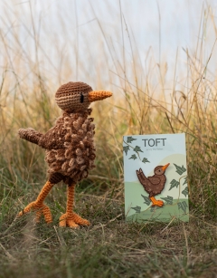 Jenny the Wren