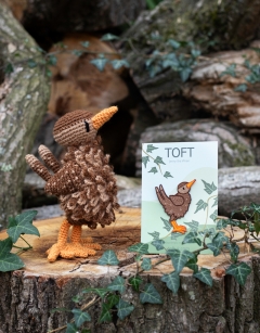 Jenny the Wren