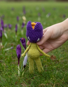 Mini Crocus and Iris Kit