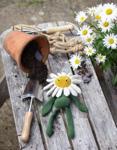 Daisy Kit