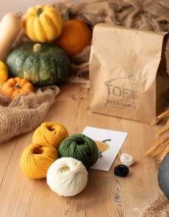 Daisy Gourd Kit