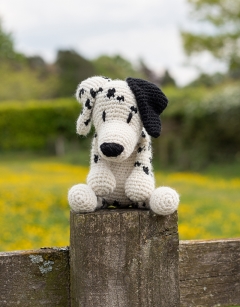 Mark the Dalmatian