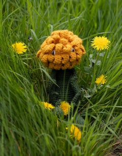 Dandelion Kit