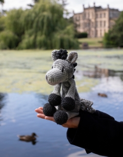 Burghley the Dapple Pony