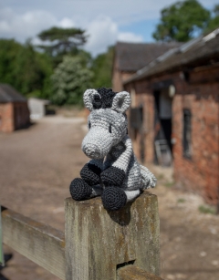 Burghley the Dapple Pony