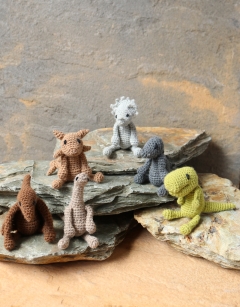 Dinosaur Discovery Box Kit