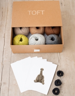 Dinosaur Discovery Box Kit