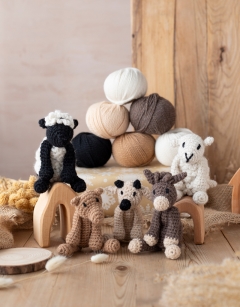 Nativity Discovery Box