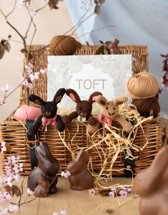 Chocolate Rabbit Discovery Box