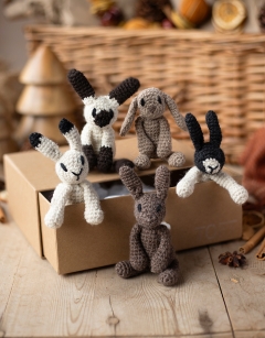 Warren Discovery Box Kit