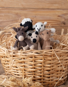 Nativity Discovery Box