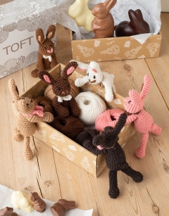 Chocolate Rabbit Discovery Box
