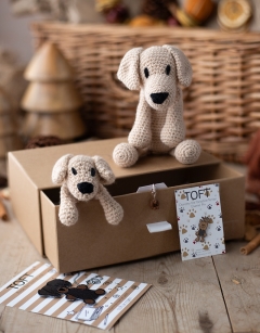 Dog Lovers Discovery Box