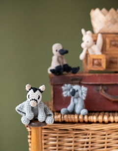 Down Under Discovery Box