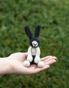 Mini Beth the Dutch Rabbit