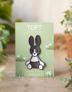 Beth the Dutch Rabbit