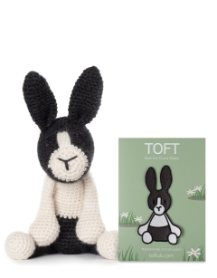 Beth the Dutch Rabbit