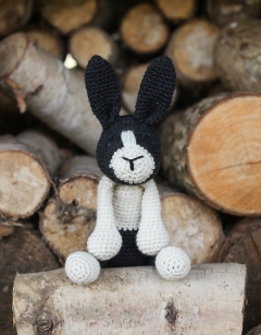 Beth the Dutch Rabbit