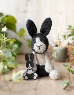 Beth the Dutch Rabbit