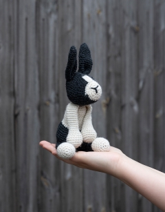 Beth the Dutch Rabbit Kit