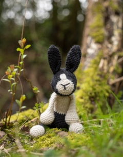 Beth the Dutch Rabbit Kit