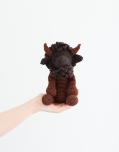 Isaac the American Bison
