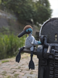 Arthur the Blue Winged Teal