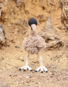 Taylor the Emu