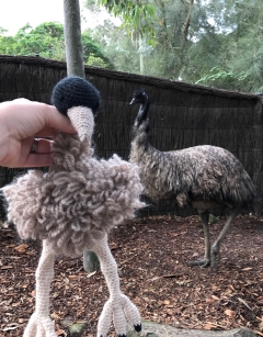 Taylor the Emu
