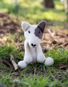 Tyrone the English Bull Terrier