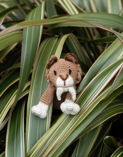Wilhelm the Sabre Toothed Tiger