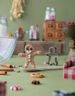 Gingerbread Boy