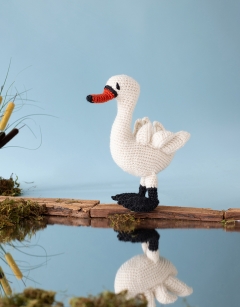 Ugly Duckling Transforms