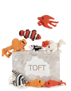 Fish Bowl Discovery Box