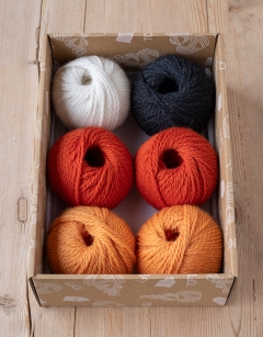 Fish Bowl Discovery Box