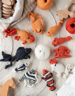 Fish Bowl Discovery Box