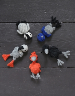 Fledglings Discovery Box