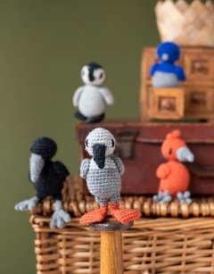 Fledglings Discovery Box